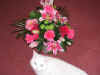 cat1.jpg (200757 bytes)